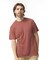 Comfort Colors Crewneck Short Sleeve Garment Dyed Heavy Weight T-Shirt